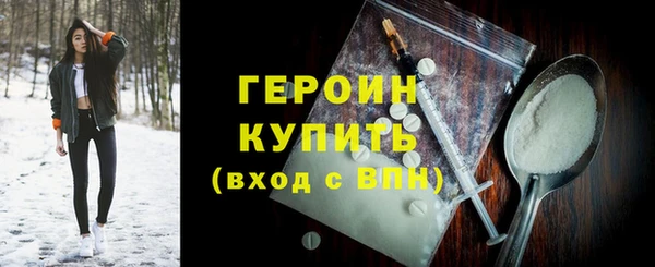 индика Вяземский
