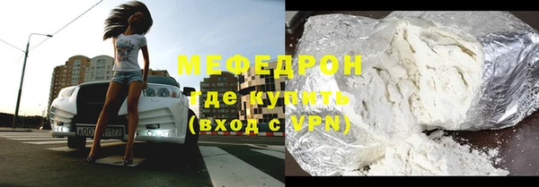 индика Вяземский