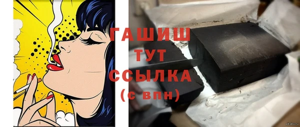 индика Вяземский
