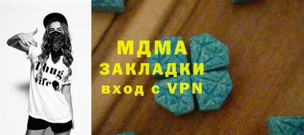 индика Вяземский