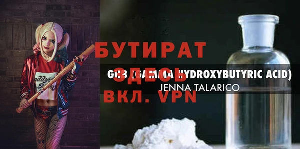 индика Вяземский