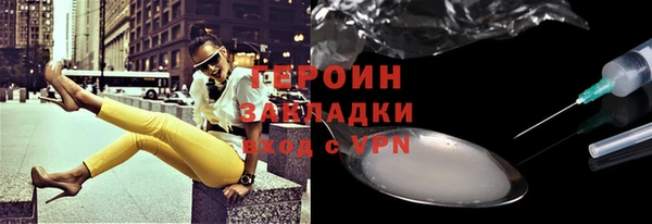 индика Вяземский