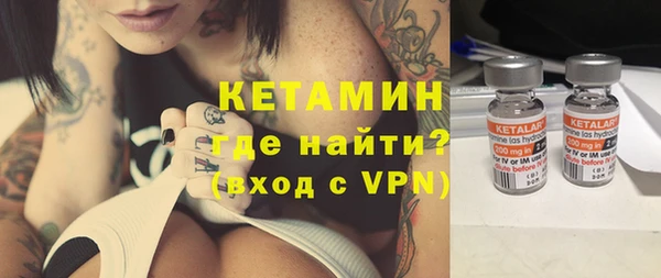 индика Вяземский