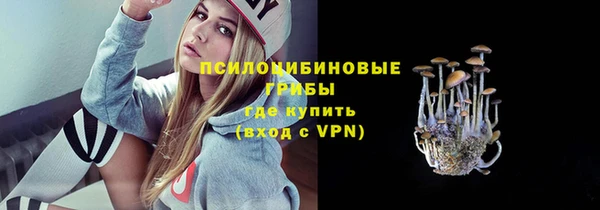 индика Вяземский