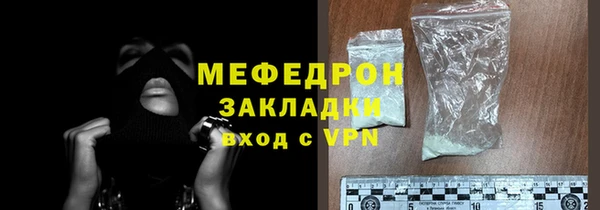 индика Вяземский