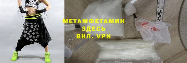 индика Вяземский