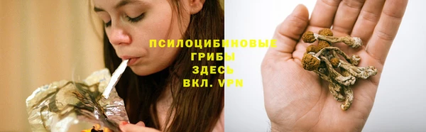 mdpv Вязники