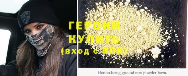 индика Вяземский