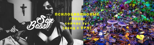 индика Вяземский