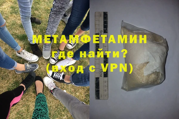 индика Вяземский