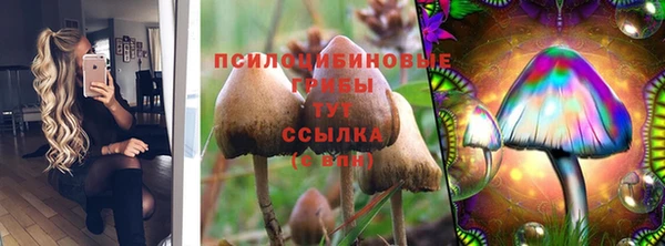 mdpv Вязьма