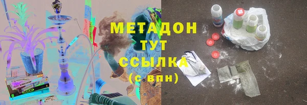 индика Вяземский