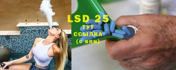 индика Вяземский